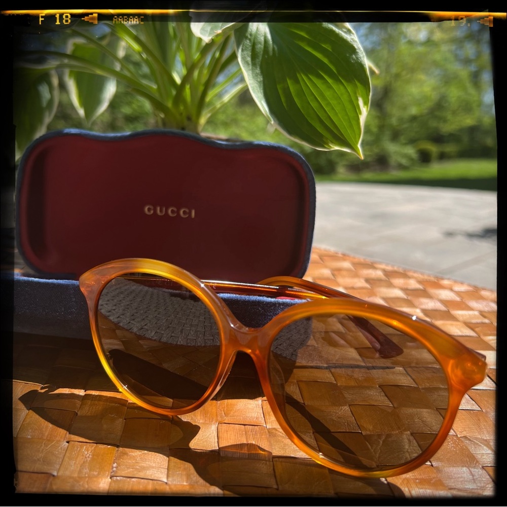 Gucci Orange Sunglasses